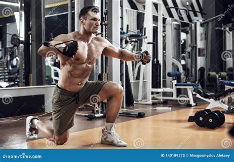 bodybuildeur|Exercise Finder 